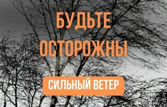 ���������, ������� �����!. ��-�� ������� ����� �������, 16 �������, � ������ ��������� ������� ������ ������� ��������