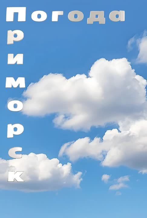 ������ �������� (���������� �����), 16.02.2026