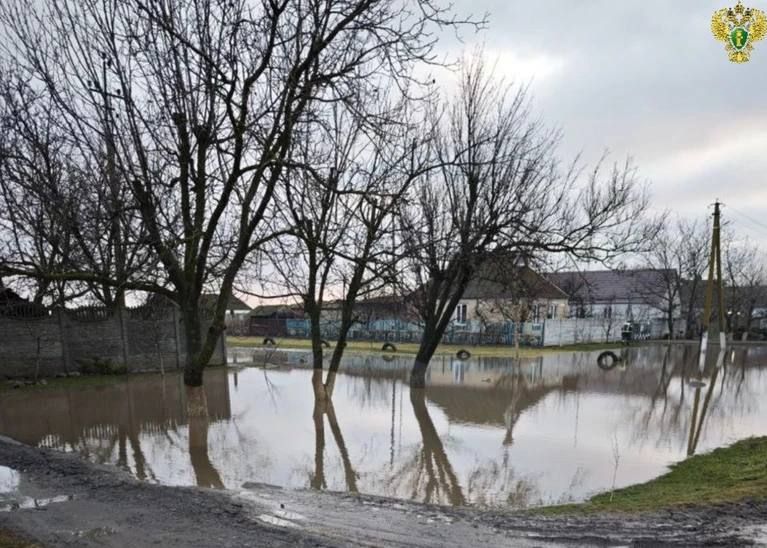 ����������� ��������� ���������� ����������� ����������� � ����������� �������