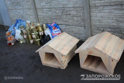 Будки для собак волонтеры изготовили в мастерской движения «Юг молодой»