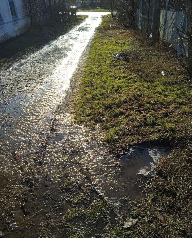 ������� ���������� ����������� ������� ��� "���� ���������" � �����������, 16 �������, ��������� ������� ����� ������������� ����� �� ����� ��������� � ���������