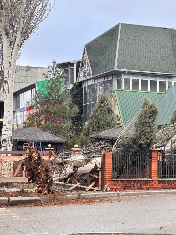 � ���������� ������� �������� ������