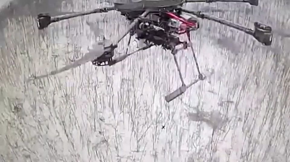 ������ ����� ��� ������ � ��������� ��� �� �����������