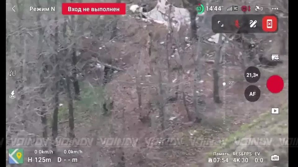 ��������� �������: ��������� 38 ������� 35 ����� ���������� ������ ���������� � ����������� �������