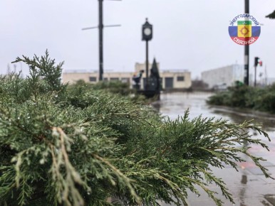 ������ ����, ������! ����� �������� ����������� ������!