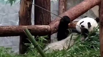 ����� ���� ������� � ������ �� �����, � ������ �� �����