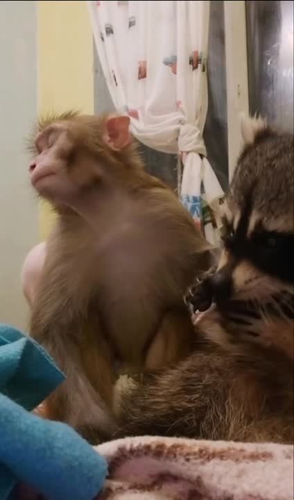 ������ ����, ������! �������� ��� ��� � ��������� ����������!