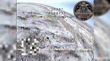 ����������� �����������. ��������� ������� ����� ������������� "�����" 1455 ����� ���������� ������� ����� � ������ ��.����������