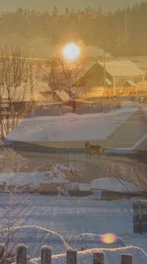 ������ ����!. ������� � �������, 17 �������