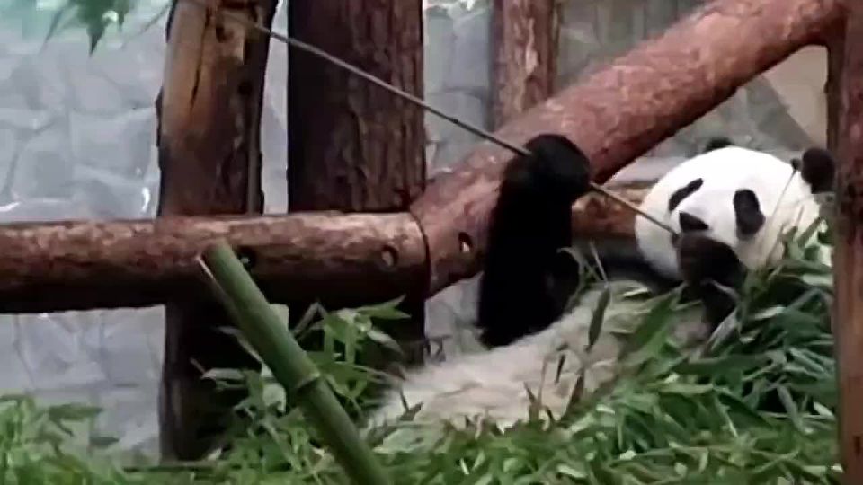 ����� ���� ������� � ������ �� �����, � ������ �� �����