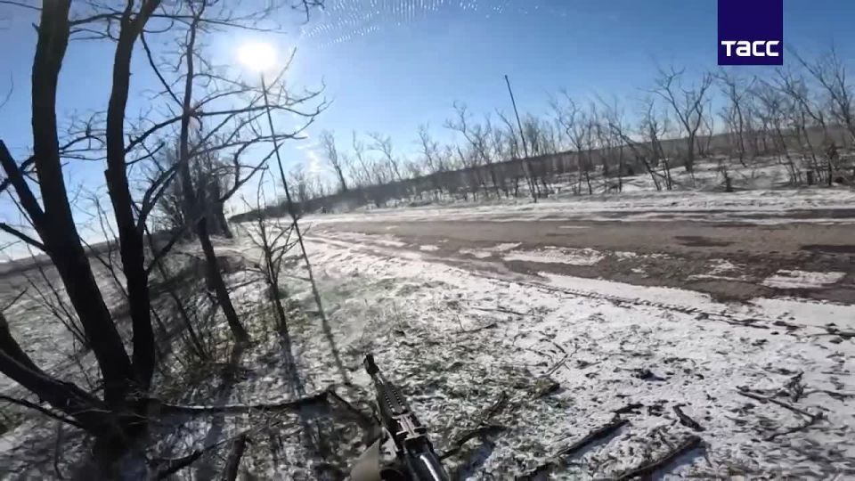 ���������� �� ������������ ����� ������������ ������ �������� � ����������� �������