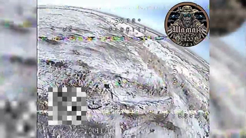 ����������� �����������. ��������� ������� ����� ������������� "�����" 1455 ����� ���������� ������� ����� � ������ ��.����������