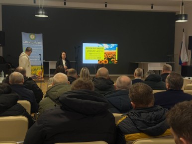 ���������� ������������ ����������������� ��������� � ����������������� �������� ����������� ������� ������� ������� � ����������� ������������ ���������� � �������� 2026�