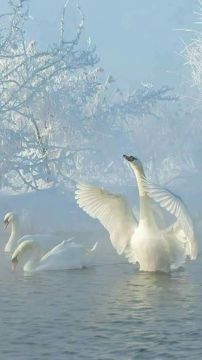 ������ ����!