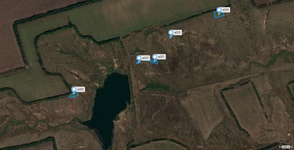 ���������� ���������� ���. ������������� 2024 ���