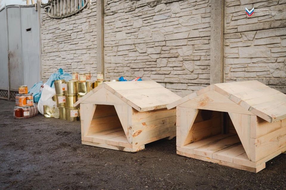 ��������� ��� ������� ������� ������ ������ ��� ��������