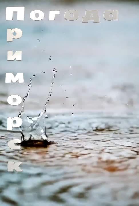 ������ �������� (���������� �����), 18.02.2026