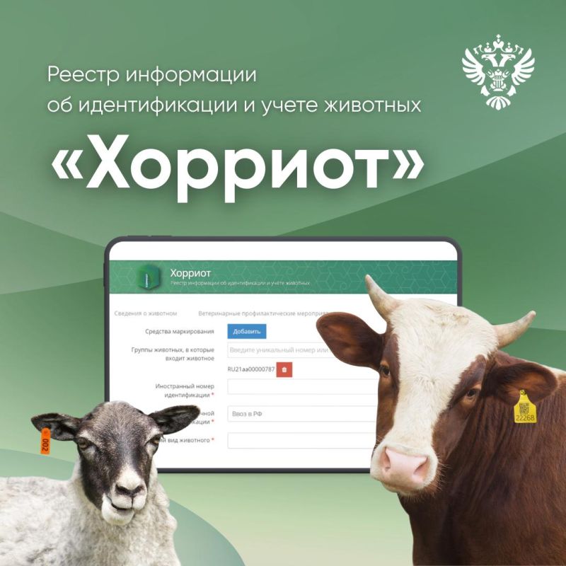 ������� ��������� ����������� �� ����� �� ����������� ����������� ��������������� �������������� ������� � ������� ����������� �����ѻ� ��������