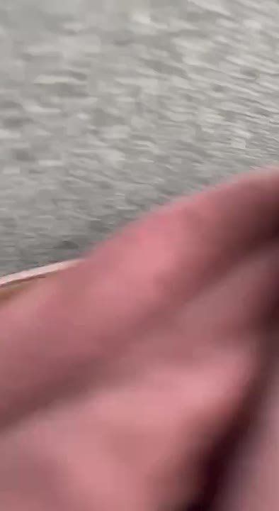 ���������� ���� ������� ����������� "���" � ��� "�������"