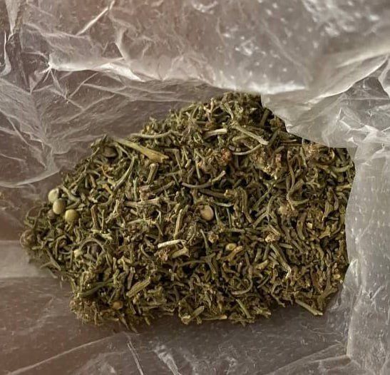 ������ ������� ��������� � ��������� ����: � ���������� ������ ������� ������ ���������