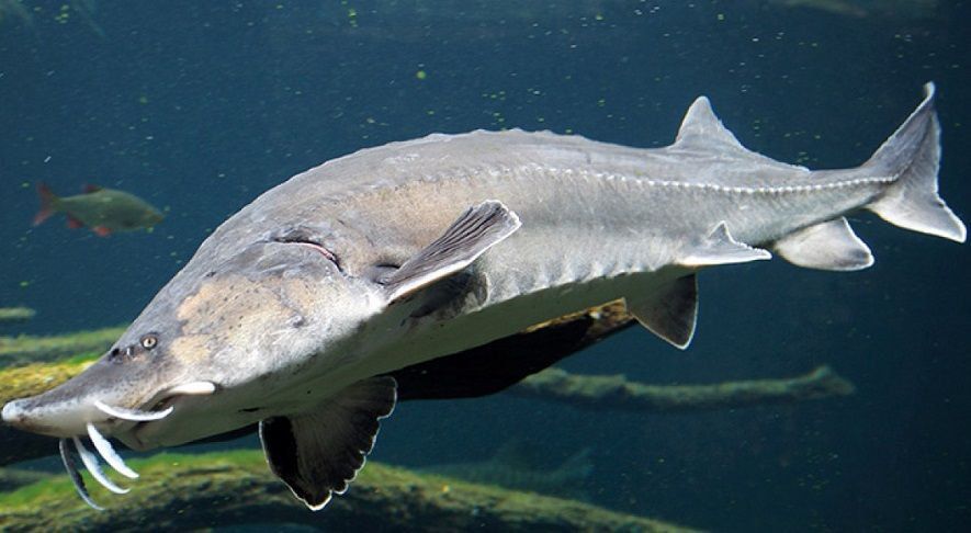 � �������� ���� ��������� ��������� ������� 400 ���