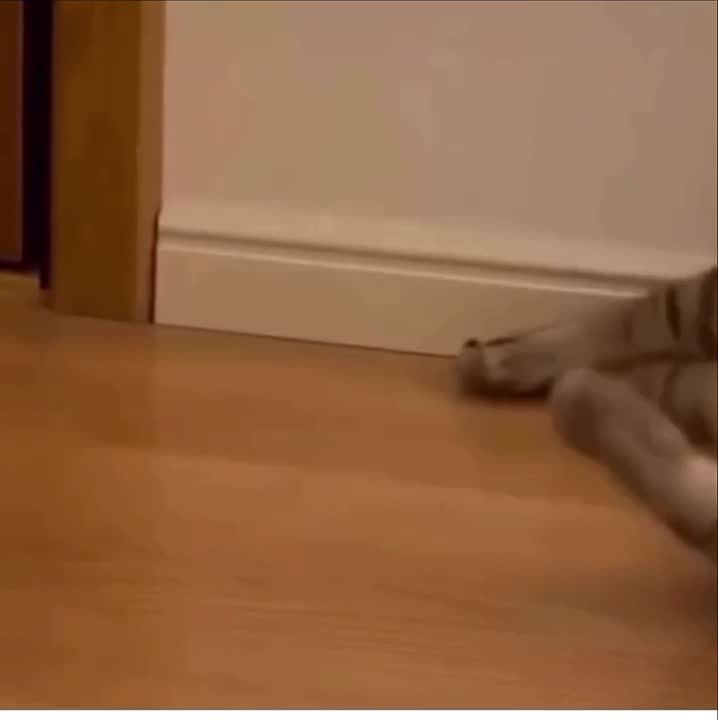 ���, ����� �������. ����� ������� ������� ������ ������ ��� ������������ �����