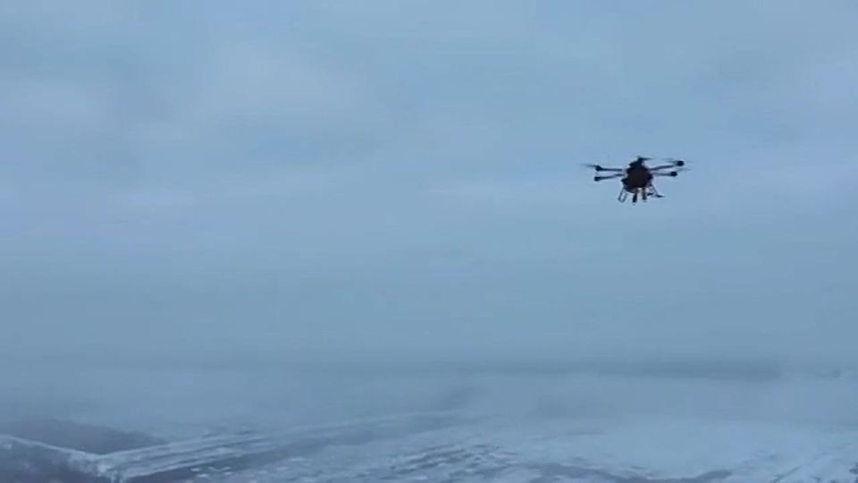 ����������� �����. ���������� ����������� ��������� ��������� "���� ���"