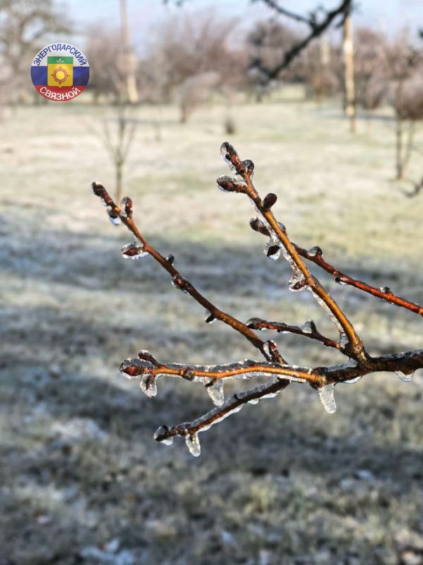 ������ ����! �������� ����� ����, � � ��� �������� ����� �����������