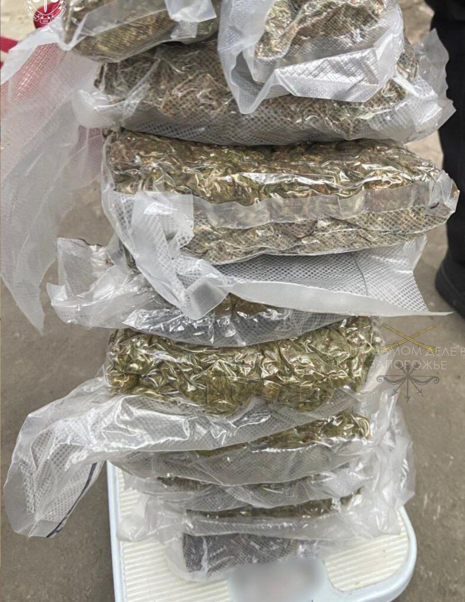 В пока еще украинском Запорожье изъяли 14 килограмм канабиса