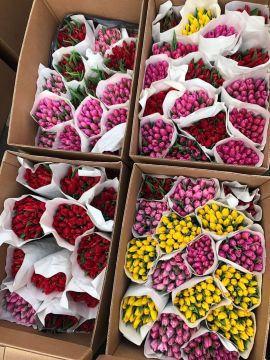 ���������� ����� ��������� �������