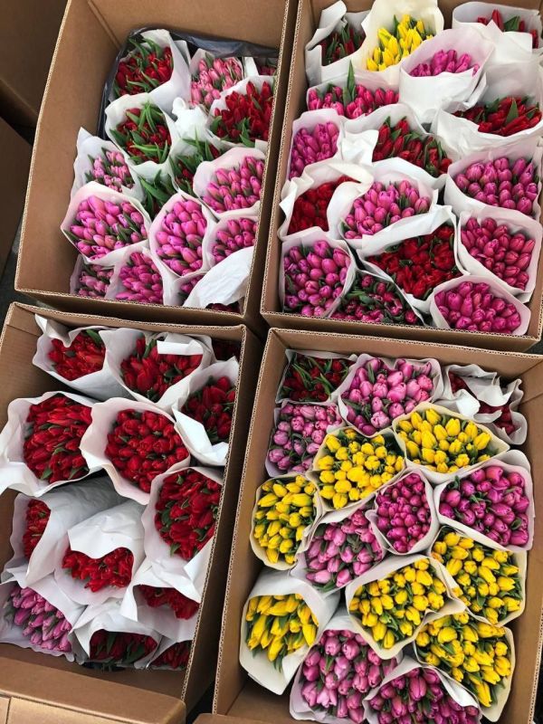 ���������� ����� ��������� �������