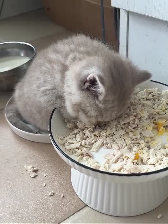 �������� ������������. ������� � �� ������ �� ���������