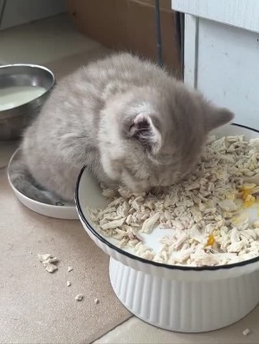 �������� ������������. ������� � �� ������ �� ���������