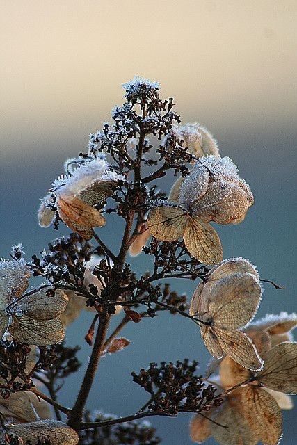 Доброго всем вечера!