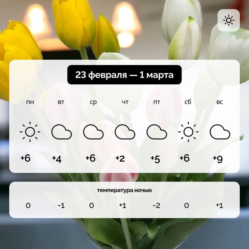 ������ � ����������� ������� �� 23 ������� � 1 �����