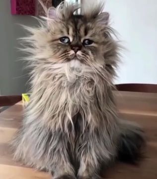 � ��� � ����� ������. ����� ��������� �� ����������, ����� ��� ������� ��������