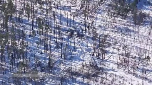 ���������: ����� ������ ������������ ������� ����� � ���� �� �������� ���� ��������!