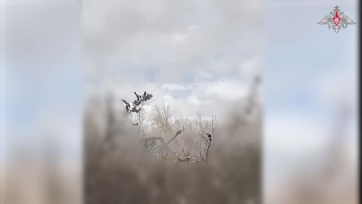 ���������� ������: ������ ��� �������� ����������� ����� ������� ��������� ������ ������ ������ ��� � ����������� �������