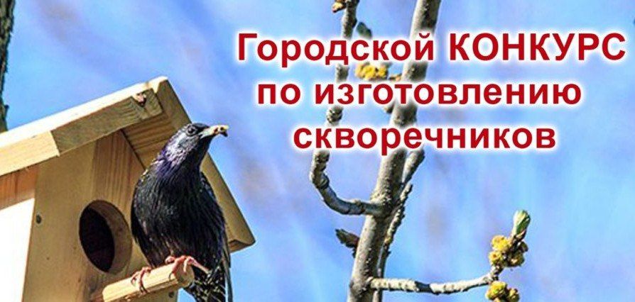 Пернатые ждут новоселья! Объявляется конкурс «Лучший скворечник для парка Чапаева»