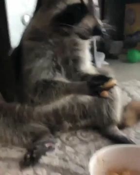 ������ ����, ������! �������� ��� ��� � ��������� ����������!