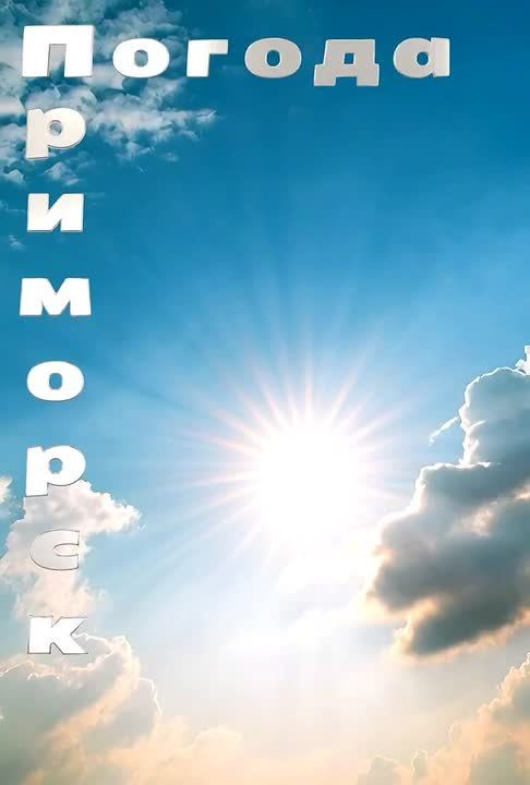 ������ �������� (���������� �����), 24.02.2026