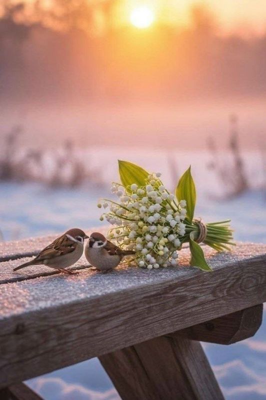 Доброго утра вам!