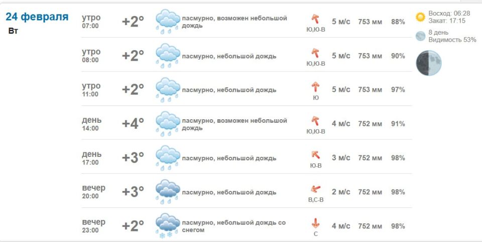 Подробно о погоде в Васильевке 24 февраля 2026 года