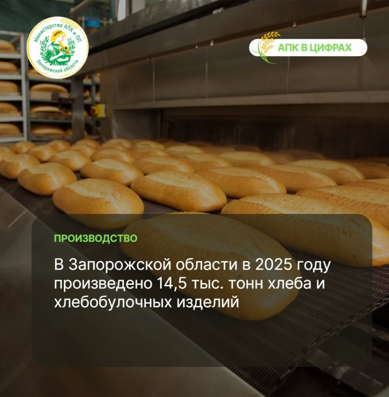 � 2025 ���� � ����������� ������� ����������� 14,5 ���