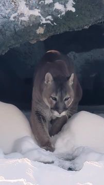 ���� �������� � ������������� �������� � ��� ������� ������