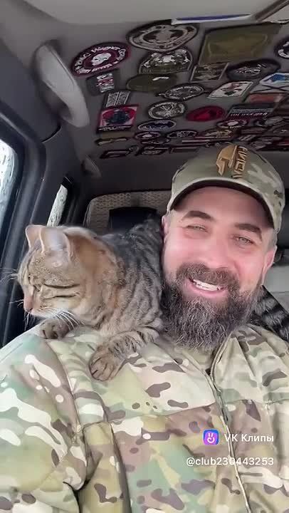 ������ ���� ��������, ����������� �������!