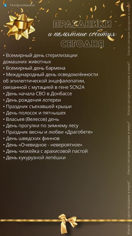 24 февраля 2026 года