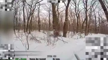 ���������: ����� ������ ���������� ������ ������