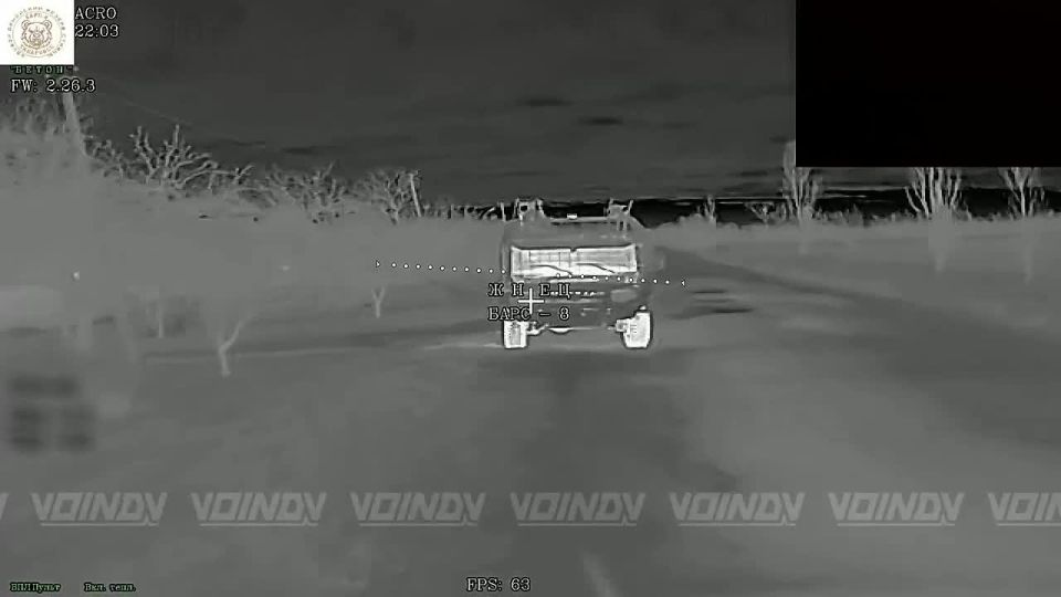 �������� �����: ��������� 38 ������� ����� ����� ���� ��� � ������ ������� ����������� �������