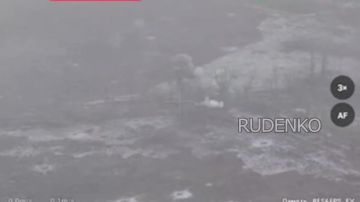 ������ �������: �������� ����������� ����� ������� ������� ������� ������� ������������� ���, ��������� ������� ������������ � ����������� �������